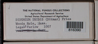 Image Associated With the Occurence